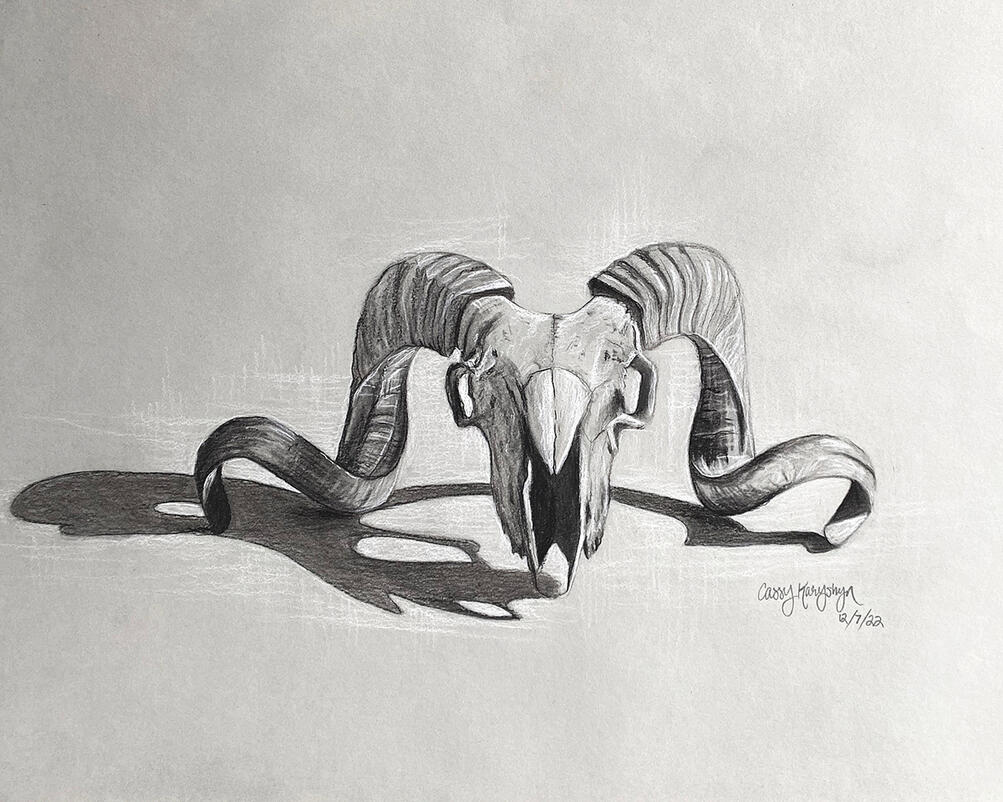 &quot;Ram Skull&quot;, Charcoal on Toned Paper, 2022, 18in x 24in