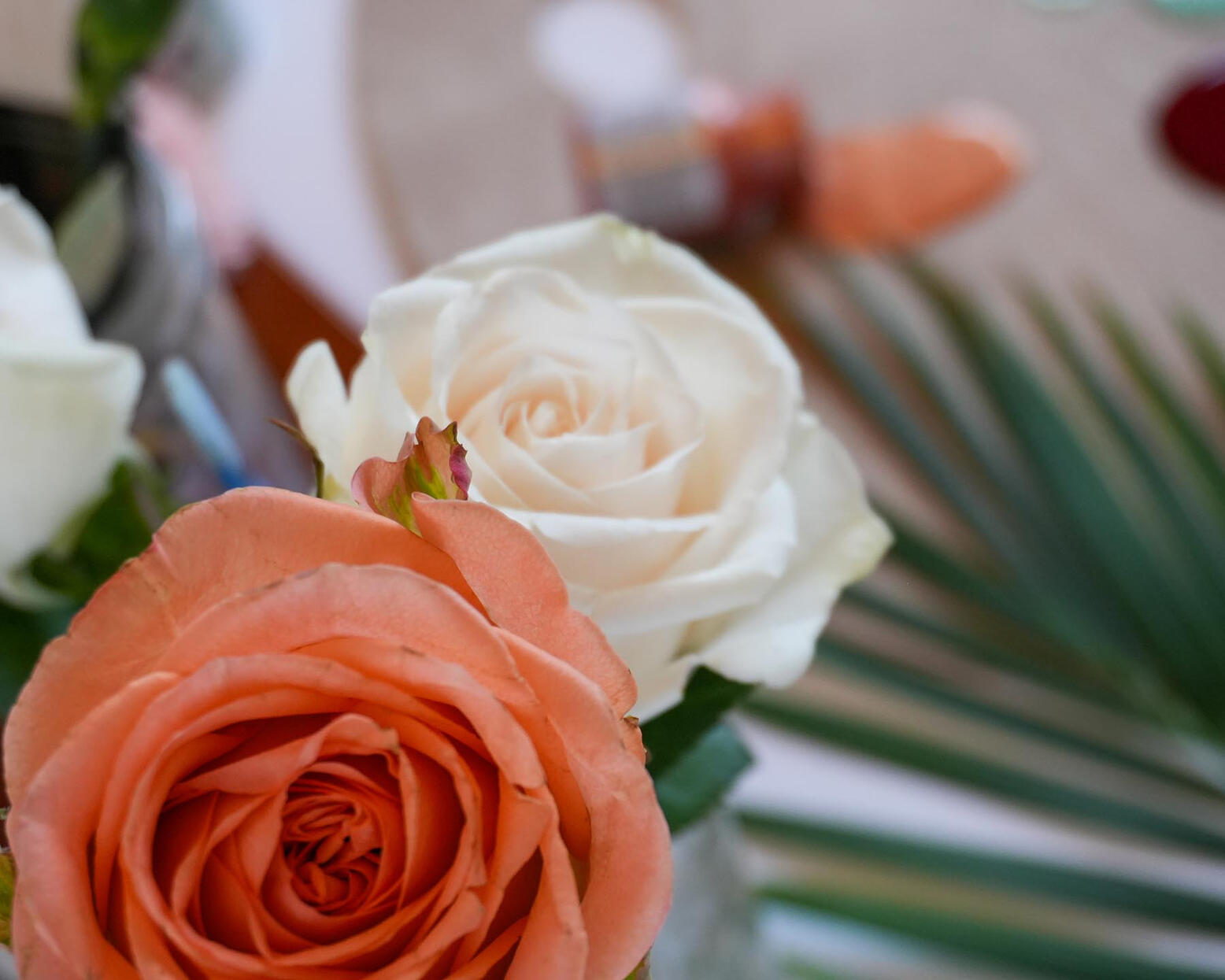 Points & Paths, 2021